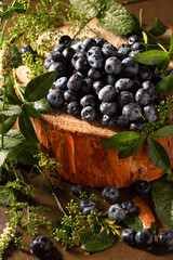 Ripe blueberries and mint on brown background
