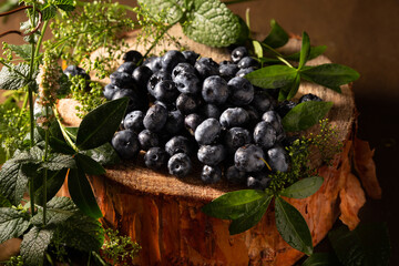 Ripe blueberries and mint on brown background
