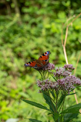 Discoveries along the way