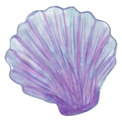 Vector drawing of blue and pink scallop shell, stylized as a watercolor. Beautiful hand-drawn seashell clipart isolated on white background