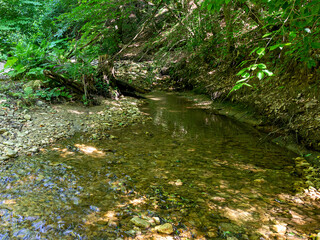 The bed of a shallow mountain river on a sunny summer day, a tourist route through a natural park.