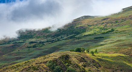 Los últimos árboles (Valle de Arán, Cataluña)