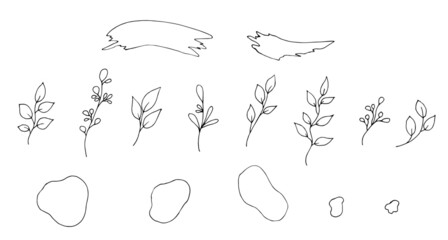 Twigs with leaves, abstract lines. Vector illustration.