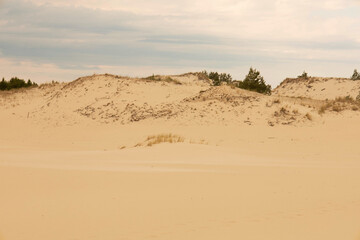 sand dunes in park
