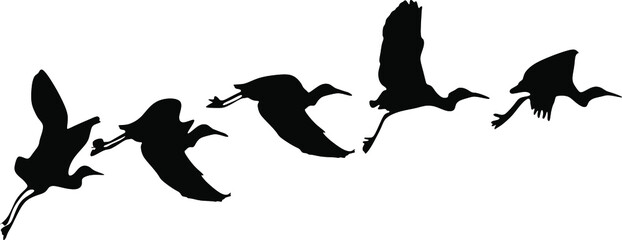 This is birds flying vector art image sequence for animation.