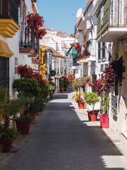 Central street in the city of Estepona on the Costa del Sol, colorful and full of flowers