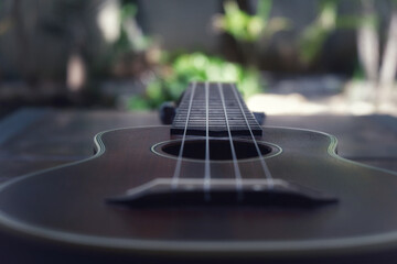 close up of ukulele