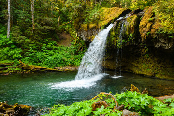 Iron Creek Falls is a beautiful waterfall in Gifford Pinchot National Forest alongside Forest Road 25 in Southwest Washington State