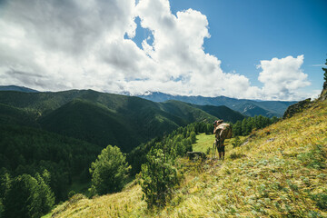 Green mountain landscape with backpacker on sunlit grassy mountainside with view to forest valley and high mountains in sunshine under cloudy sky. Mountain vastness with coniferous trees in sunshine.