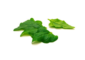 Pile of homegrown New Zealand spinach or Tetragonia tetragonioides leaves isolated on white