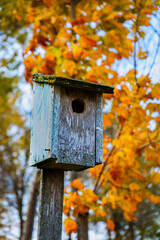 bird house on a tree