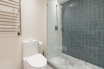 Modern bathroom with blue tile shower and heated towel rack. 