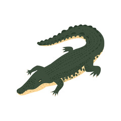Crocodile Isometric Icon
