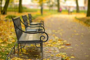 Benches with forged metal elements in the Park against the background of yellow autumn leaves