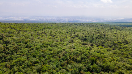 Vista aérea del Parque Nacional El Cimatario en Querétaro, México. Ciudad queretana vista desde el cerro del Cimatario.