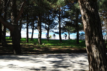 Image of the sea promenade.