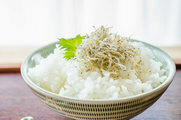 しらすを乗せたご飯