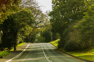 Road through beautiful countryside during spring sunset