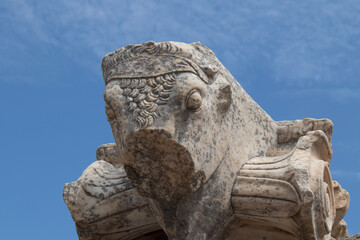 stone lion statue