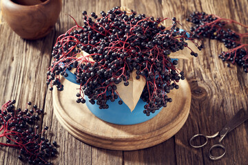 Black elder berries in a pot - alternative herbal remedy