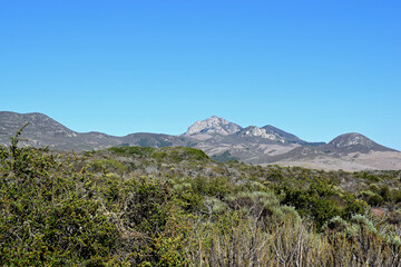 Elfin Forest in Morro Bay, CA.
