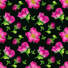 seamless watercolor pattern with buds and flowers of pink rose hips on a dark background.
decorative illustrations for fabric, wrapping paper and decor.