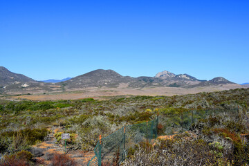 Elfin Forest in Morro Bay, CA.