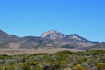 Elfin Forest in Morro Bay, CA.