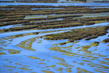 The bay near Elfin Forest in Morro Bay, CA.