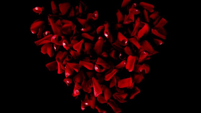 Super slow motion of flying rose petals in heart shape on clear black background. Filmed on high speed cinema camera, 1000 fps.