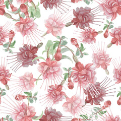 Fuchsia flowers Hummingbird birds watercolor hand-drawn illustration. Patern seamless print textile realism sketch vintage