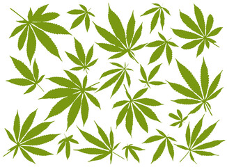 Cannabis leaf composition isolated on white background - 450556446