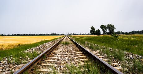 Fototapeta premium empty railroad track in the field 