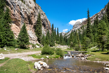 mountain river in the mountains