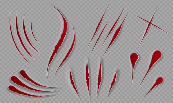 Blood scratches and cuts. Bloody scars and sharp slashes. Ripped wounds by animal paws. Halloween scary decor. Cat claws tracks vector set