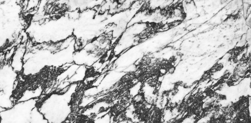 Carrara marble with black curly veins across the white surface, Carrara white tiles marble, glossy statuarietto slab marble stone texture for digital wall tile and floor tile design.