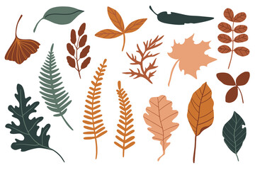 Fototapeta premium Vector set of flat botany elements. Simple autumn collection