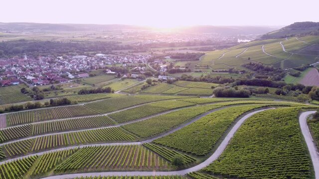 Drohnenaufnahme, Weinberg ei Th&uuml;ngersheim mit Ort