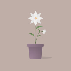 White flowers grow in old glass bottle pots, with water in them. vector illustration