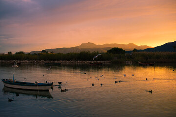 Paisaje 