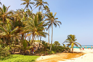 People in Caribbean beach with tropical forest in Tayrona National Park, Colombia. Tayrona National Park is located in the Caribbean Region in Colombia. - 450564455