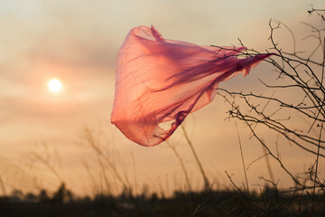The plastic bag tangled in dry grass on a background of smoky sky.