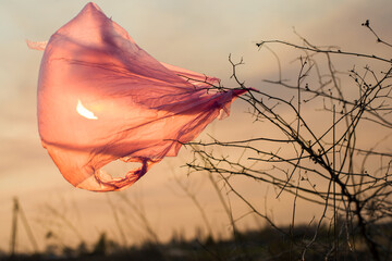 This used plastic bag tangled in dry grass on a background of smoky sky.