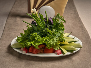 Vegetable slices with fresh cucumbers, tomatoes, radishes and herbs