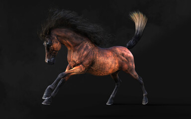 3d Illustration Handsome Brown Horse Pose and Long Mane Isolate on Dark Background with Clipping Path. © mrjo_7