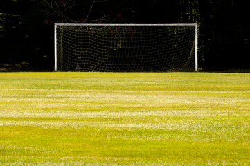 soccer field with a view of the goal post over dark forest background