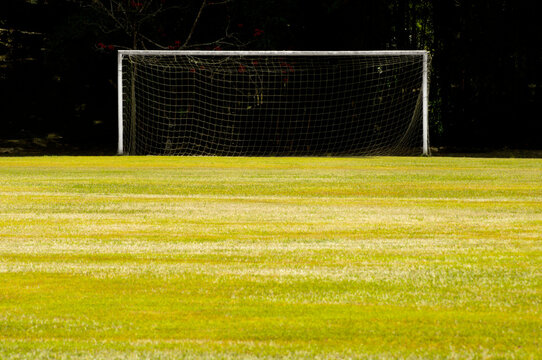 451 Best Soccer Net Images Stock Photos Vectors Adobe Stock