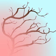 tree with pink flowers