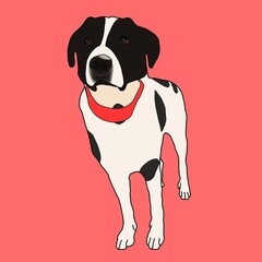 portrait of a dog