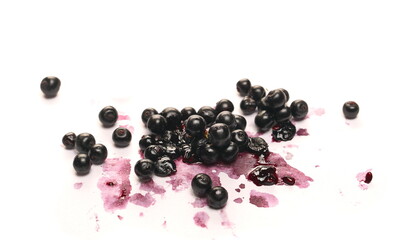 Danewort, dwarf elder plant with elderberries isolated on white background with clipping path (sambucus ebulus)